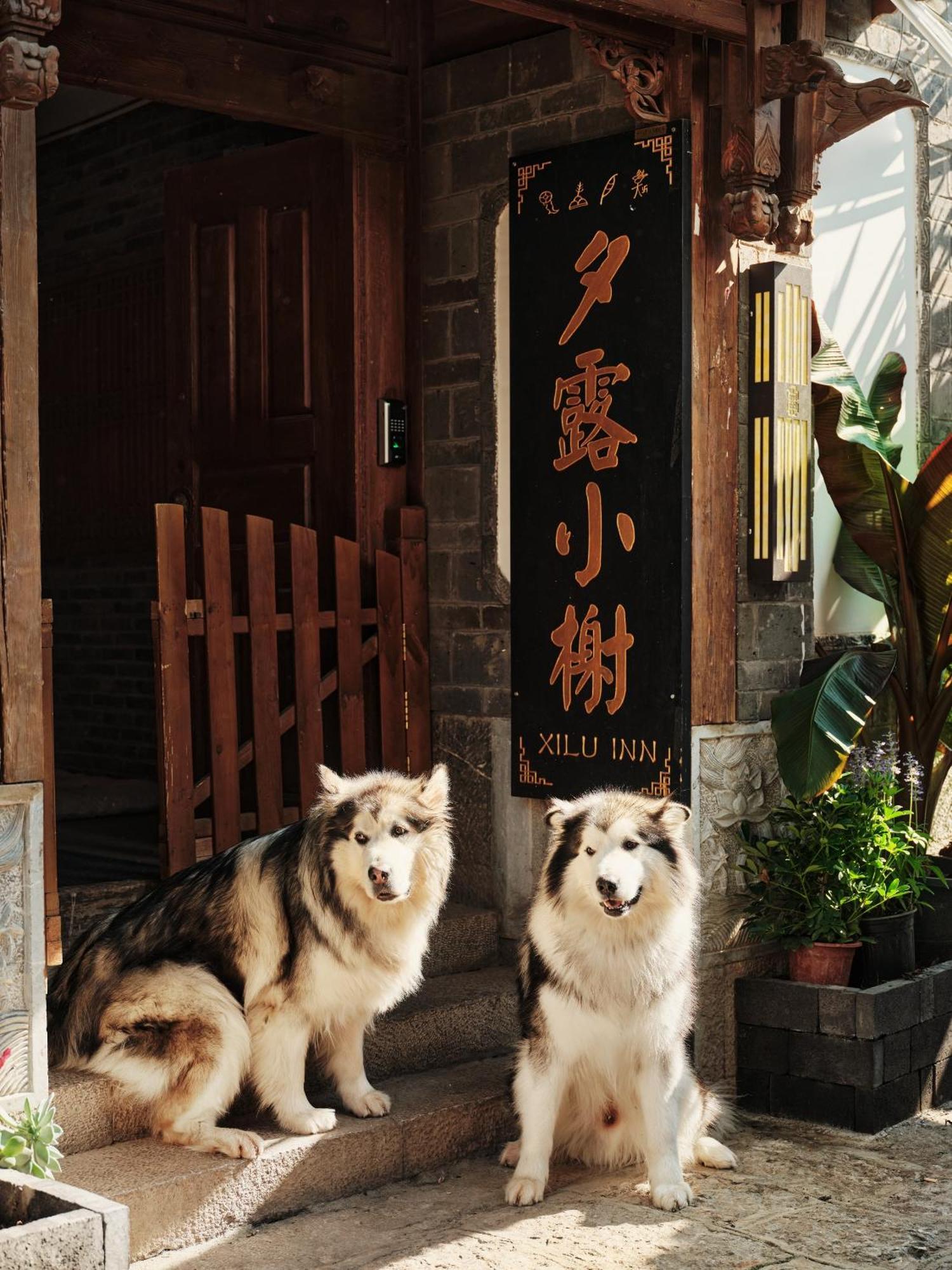 丽江夕露小榭客栈酒店 外观 照片